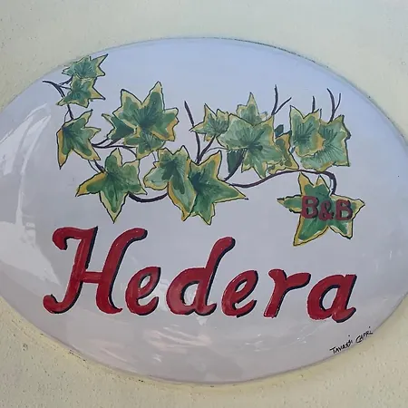Hedera Capri Alojamento de Acomodação e Pequeno-almoço Anacapri (Isola di Capri)