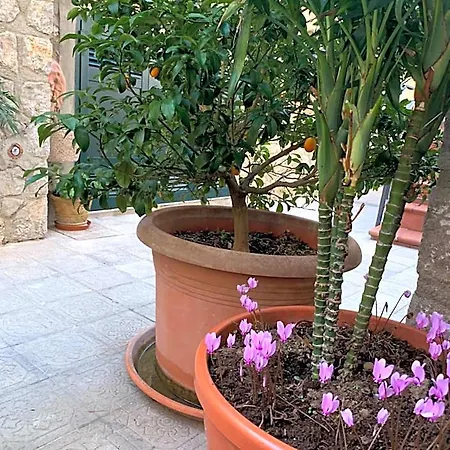Bed & Breakfast Hedera Capri 4*