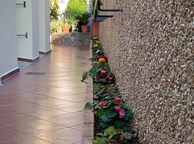 Hedera Capri 住宿加早餐酒店 阿纳卡普里