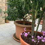 Hedera Capri Anacapri (Isola di Capri)